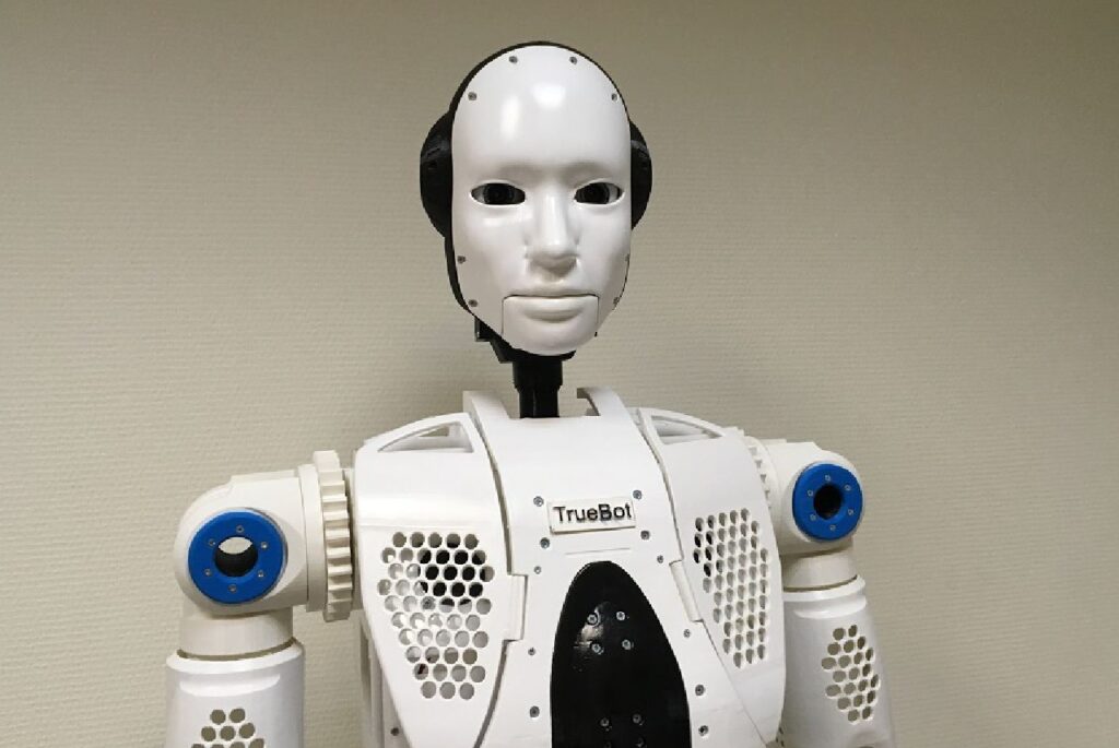 Truebot використовує вразливості у Netwrix Auditor та Raspberry Robin Worm