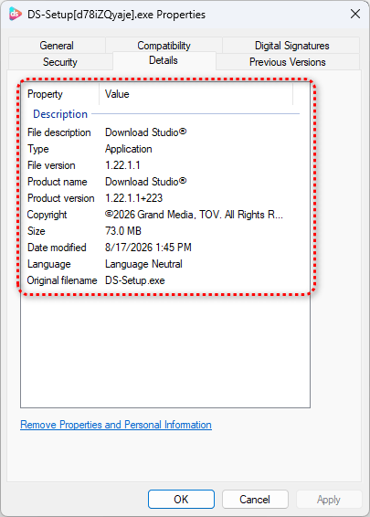 Вкладка Details у Windows визначає DS-Setup.exe як Download Studio від Grand Media, TOV.